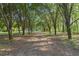 Long driveway shaded by trees at 520 Givhans Rd, Ridgeville, SC 29472