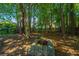 Picturesque backyard with fire pit, trees, and lush landscaping at 522 Antebellum Ln, Mount Pleasant, SC 29464