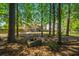 Secluded backyard with fire pit and beautiful wooded views at 522 Antebellum Ln, Mount Pleasant, SC 29464