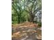Beautiful street view with a canopy of mature trees lining the road and sidewalks near charming homes at 60 Fenwick Hall Aly # 937, Johns Island, SC 29455