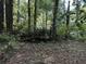 Backyard deck and wooded view at 1020 Welles Ln, Walterboro, SC 29488
