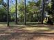 Expansive property featuring lush, mature trees creating a peaceful and secluded ambiance for this hidden cabin at 1020 Welles Ln, Walterboro, SC 29488
