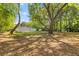 Lush backyard with mature trees and a shed offering ample space and natural beauty, providing privacy at 1303 Teal Ave, Charleston, SC 29412