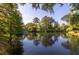 Picturesque pond view showcasing the serene water reflecting the surrounding trees and sky, adding tranquility at 1415 Inland Creek Way, Mount Pleasant, SC 29464