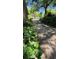 Gravel driveway winding by vibrant greenery leading to the home, nestled in nature at 1521 Camp Rd, Charleston, SC 29412