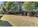 Backyard with trees at 239 Sea Lavender Ln, Summerville, SC 29486