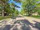 Street view with mature trees at 260 Lake Dr, Summerville, SC 29483