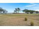 Expansive green space with mature trees offering a serene view of the distant bridge at 49 Crosscreek Dr, Charleston, SC 29412