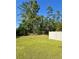 Spacious backyard with green lawn, privacy fence, and mature trees at 703 Hilchot Dr, Summerville, SC 29486