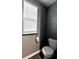 A window that brings natural light to the toilet and toilet paper holder, with gray walls and white trim at 703 Hilchot Dr, Summerville, SC 29486