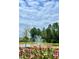 Beautiful pond with fountain and colorful flower foreground at 703 Hilchot Dr, Summerville, SC 29486
