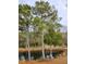 Scenic backyard pond with tall pine trees reflecting in the water, providing a peaceful nature view at 7997 Doar Rd # C-3, Awendaw, SC 29429