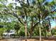 Majestic live oaks and mature palmetto trees adorn the neighborhood at 855 Club Cottage Rd, Edisto Island, SC 29438