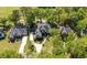Serene aerial view showcases a home with mature trees, a well-manicured lawn, and an inviting driveway, seamlessly integrating nature at 8642 W Fairway Woods Dr, North Charleston, SC 29420