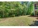 View of a spacious backyard with lush green grass at 105 Aviary Ct, Summerville, SC 29483
