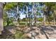 Wooded backyard with mature trees and foliage, offering a peaceful setting at 1242 Creek Watch, Seabrook Island, SC 29455