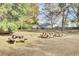 Community backyard featuring picnic tables and a fire pit, perfect for outdoor gatherings and barbecues at 1481 Battery Reynolds Ct, Charleston, SC 29412