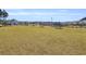 Expansive green space in a community with picnic tables and seating areas at 1541 Homecoming Blvd, Ravenel, SC 29470