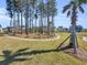 Neighborhood park with tall pine trees and manicured landscaping at 1541 Homecoming Blvd, Ravenel, SC 29470