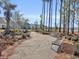 Tranquil park with walking paths, benches, and landscaping at 1541 Homecoming Blvd, Ravenel, SC 29470