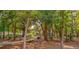 Community park featuring a wooden boardwalk and benches under mature trees at 200 Bucksley Ln # 302, Charleston, SC 29492