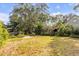 Grassy backyard with mature trees, offering shade and privacy at 2137 Wappoo Dr, Charleston, SC 29412