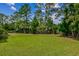Lush backyard with mature trees and green grass, creating a peaceful and private outdoor space at 2524 Deer Walk Way, Mount Pleasant, SC 29466