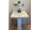 A pedestal sink with a sleek faucet is complemented by a decorative shelf in this well-lit bathroom at 2524 Deer Walk Way, Mount Pleasant, SC 29466