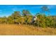 A distant shot of a Lowcountry home surrounded by marsh grasses and tall trees at 2524 Deer Walk Way, Mount Pleasant, SC 29466