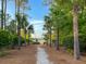 Scenic trail view leading to water, bordered by trees and lush vegetation, perfect for outdoor enjoyment at 2524 Deer Walk Way, Mount Pleasant, SC 29466