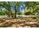 Lush backyard featuring mature trees, a relaxing swing, picnic table, and view of the pond at 2828 Olivia Marie Ln, Johns Island, SC 29455