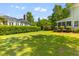 Lush backyard with a meticulously maintained lawn and mature trees, offering privacy at 3500 Maplewood Ln, Mount Pleasant, SC 29466