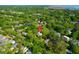 Beautiful neighborhood with lush trees and various home styles at 41 Berkeley Rd, Charleston, SC 29407