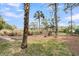 Lush backyard featuring mature trees, manicured green lawn, putting green, and stone path at 418 Snowy Egret Ln, Kiawah Island, SC 29455