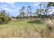 The natural grasses in this scene paint the picture of a low-lying beach environment at 418 Snowy Egret Ln, Kiawah Island, SC 29455