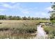 Scenic marsh view showcasing natural beauty, with water and lush grasses extending towards distant trees and buildings at 418 Snowy Egret Ln, Kiawah Island, SC 29455