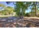 A shady backyard with mature trees at 4412 Garwood Dr, Ladson, SC 29456