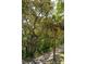 Scenic walking path lined with lush, mature trees providing ample shade at 68 W 9Th St # B, Folly Beach, SC 29439