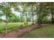 Spacious backyard featuring mature trees, a lush lawn, and natural landscaping at 105 Kirkhaven Ct, Goose Creek, SC 29445