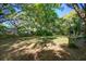 Expansive backyard featuring mature trees and lush greenery, perfect for outdoor activities and relaxation at 1417 Pine Island View, Mount Pleasant, SC 29464