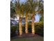 Backyard featuring three illuminated palm trees, black metal fence, and manicured landscaping at 1526 Old Rivers Gate Rd, Mount Pleasant, SC 29466