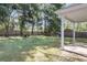 Large, grassy backyard with mature trees and privacy fencing; perfect for outdoor enjoyment at 171 Sara St, Saint George, SC 29477