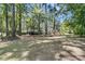 Spacious backyard featuring lush lawn and mature trees, perfect for outdoor activities and relaxation at 1828 S James Gregarie Rd, Mount Pleasant, SC 29466