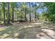 Spacious backyard featuring lush lawn and mature trees, perfect for outdoor activities and relaxation at 1828 S James Gregarie Rd, Mount Pleasant, SC 29466