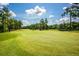 Scenic golf course view highlighting lush green fairways, mature trees, and serene landscaping at 2001 Baltusrol Ct, Summerville, SC 29483