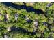 Overhead view of a home nestled among dense trees, showcasing a private, serene setting on a waterfront property at 2766 Old Oak Walk, Seabrook Island, SC 29455