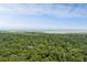 Expansive aerial view of lush wooded home site located on Seabrook Island near the ocean at 2766 Old Oak Walk, Seabrook Island, SC 29455