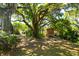 Large backyard with shed and ample space for activities under the shade of mature trees at 29 Morrison Ave, McClellanville, SC 29458