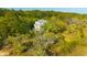 Aerial view of two story home nestled in trees surrounded by lush land and grass at 4386 Park Island Rd, Hollywood, SC 29449