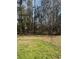 Expansive backyard with lush green grass bordered by mature trees, providing privacy and a natural setting at 4816 Cane Pole Ln, Summerville, SC 29485